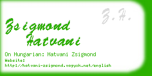 zsigmond hatvani business card